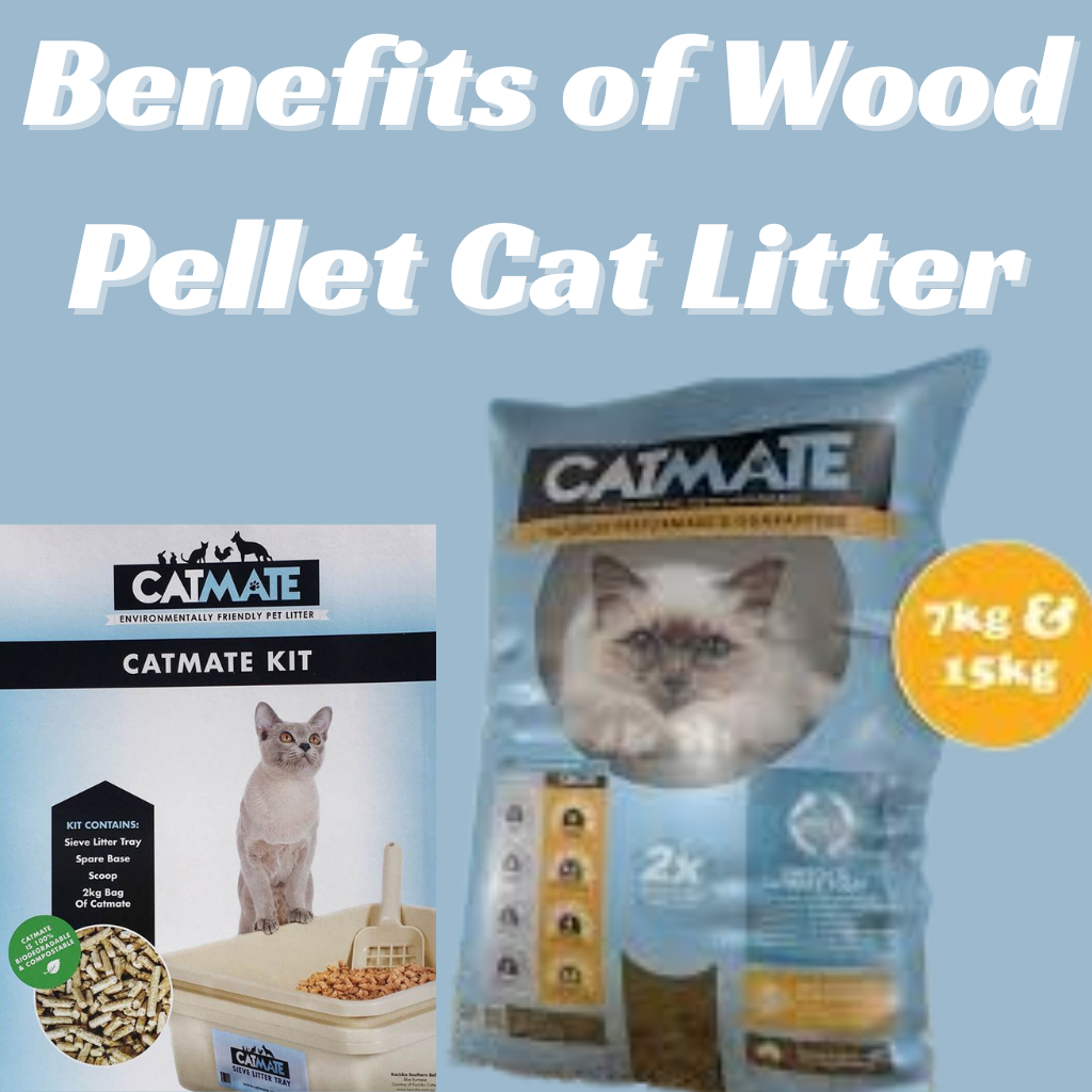 wood pellet cat litter
