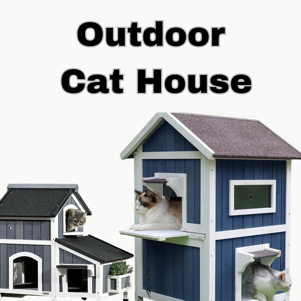 outdoor cat house