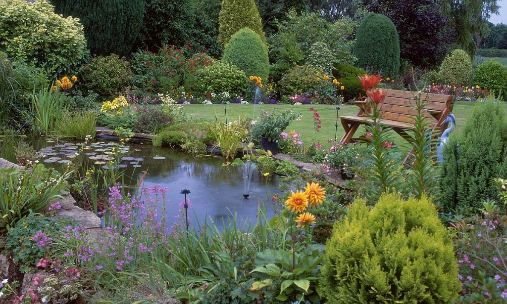 Reliable Professional Pond Cleaning Kent for Beautiful Garden Ponds