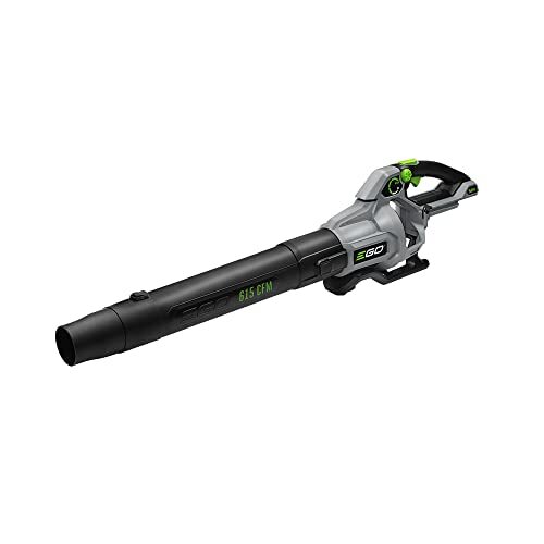 Lightweight Cordless Leaf Blower Models Worth Considering